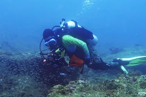 Lampung Dive Center "PT. Wisata Selam Lampung" image