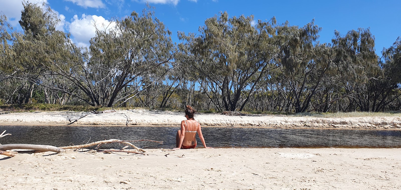 Flinders Beach'in fotoğrafı vahşi alan