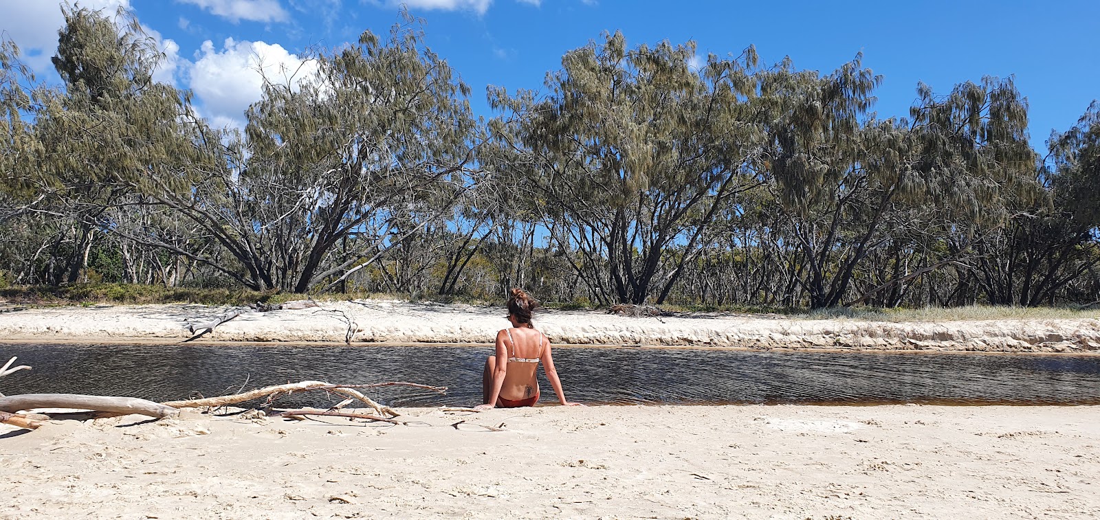 Fotografie cu Flinders Beach amplasat într-o zonă naturală