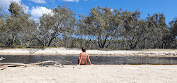 Zdjęcie Flinders Beach dziki obszar