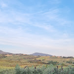 Photo n°1 de l'avis de Laura.o fait le 25/05/2022 à 18:26 sur le  Santissima Annunziata à San Vincenzo