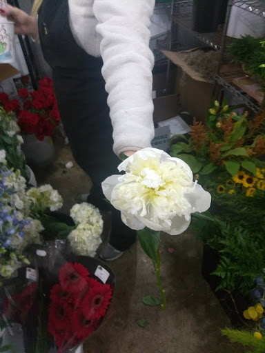 Florist «Bokay Florist», reviews and photos, 5890 N Keystone Ave, Indianapolis, IN 46220, USA