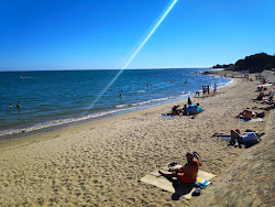 Plage du Govet'in fotoğrafı düz ve uzun ile birlikte