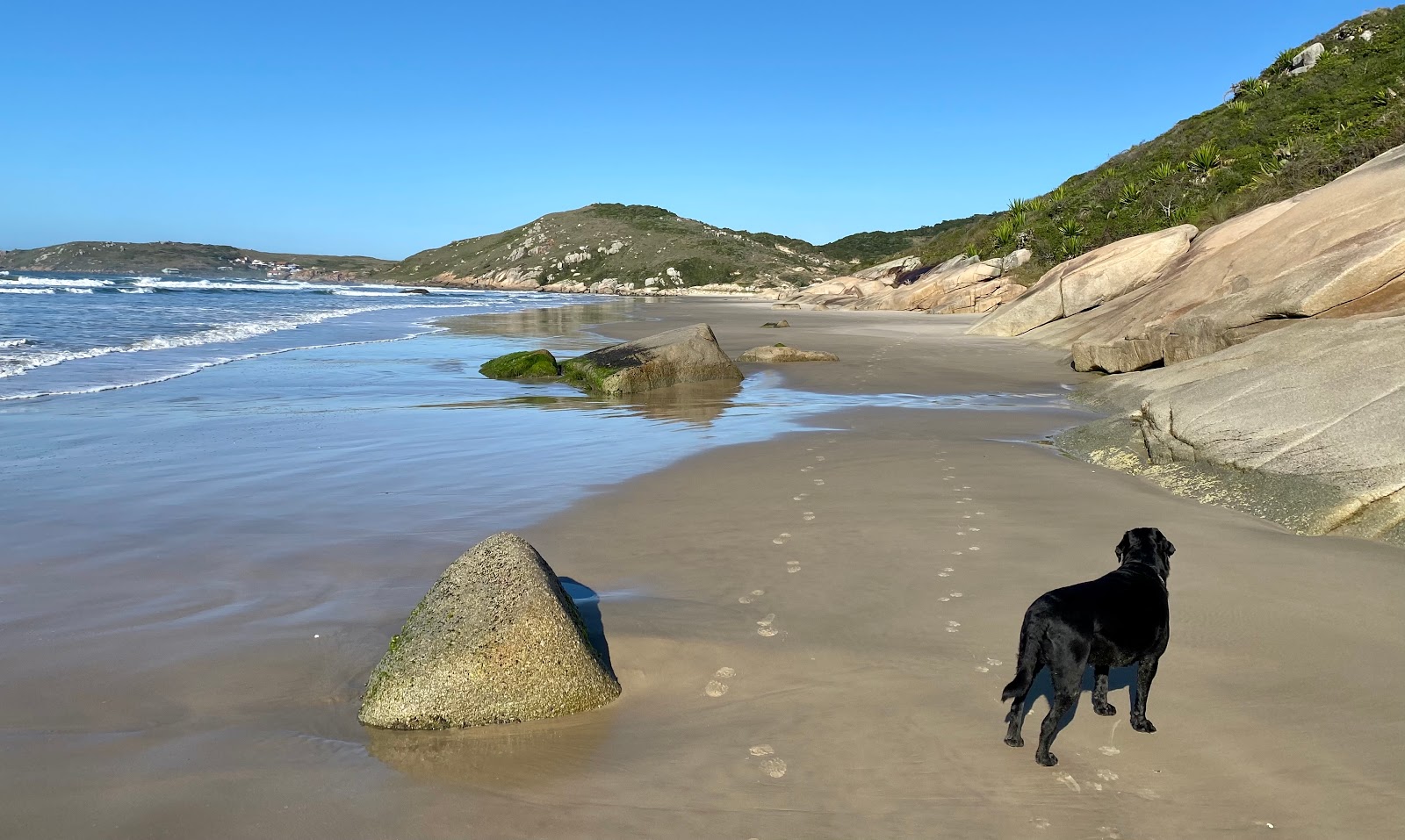 Zdjęcie Praia do Manelome z poziomem czystości wysoki