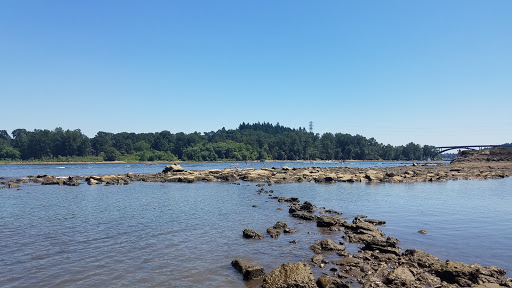 Park «Willamette Park», reviews and photos, SW Macadam Ave, Portland, OR 97219, USA