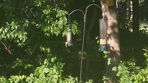 Golf Course «Pine Hills Golf Course», reviews and photos, 2 Country Club Dr, Manorville, NY 11949, USA