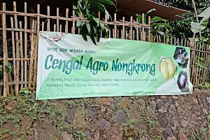Cengal Agro Nongkrong image