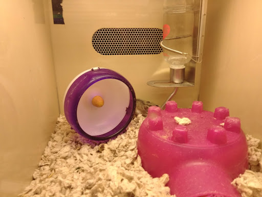 Pet Supply Store «Pet Supplies Plus», reviews and photos, 120 Sara Way, Belle Vernon, PA 15012, USA