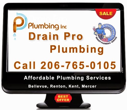 Plumber «Drain Pro Plumbing Inc», reviews and photos, 12219 Military Rd S, Seattle, WA 98168, USA