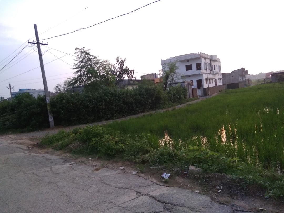 Singh Tola