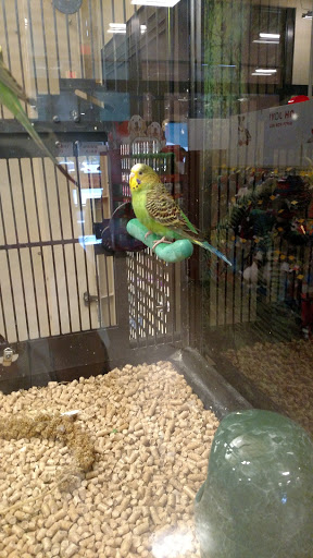 Pet Supply Store «PetSmart», reviews and photos, 3 McKenna Rd, Arden, NC 28704, USA