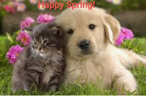 Pet Supply Store «Animal Krackers Inc», reviews and photos, 232 Main St, Gloucester, MA 01930, USA