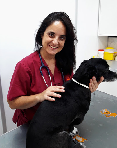 Hospitales y veterinarios de urgencia en Vilanova i la Geltrú de 2024