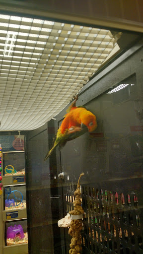 Pet Supply Store «PetSmart», reviews and photos, 1196 W Olive Ave, Merced, CA 95348, USA