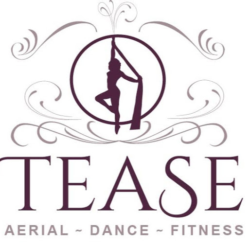 Dance School «Tease Dance & Fitness», reviews and photos, 4222 Meridian Pkwy, Aurora, IL 60504, USA