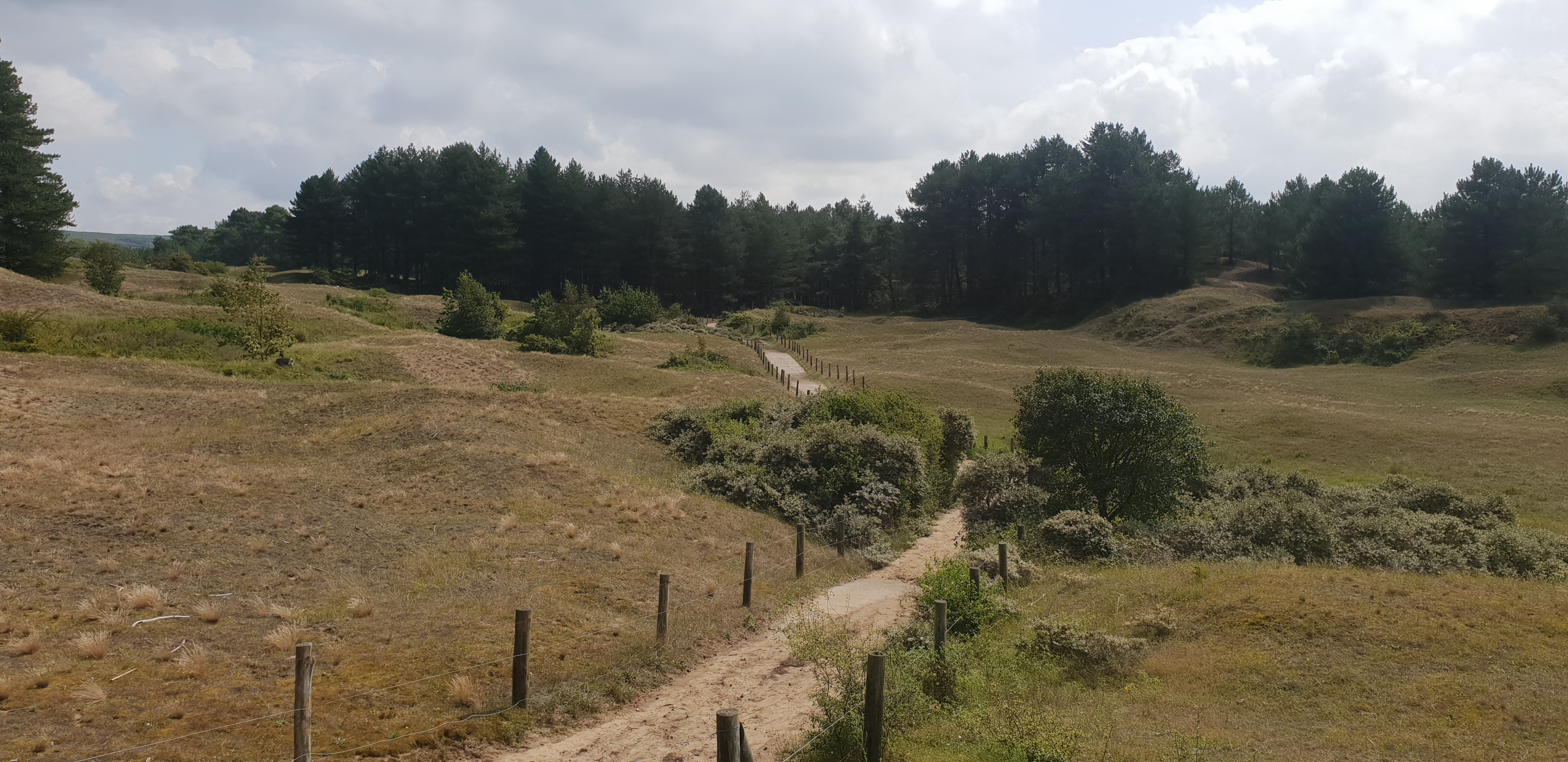 Photo n° 8 de l'avis de Floriant.o fait le 25/08/2023 à 13:28