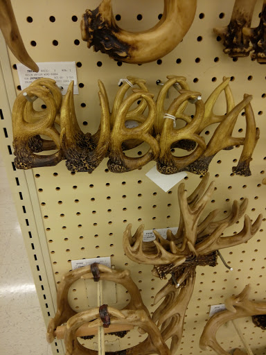 Craft Store «Hobby Lobby», reviews and photos, 2775 E Grand River Ave, East Lansing, MI 48823, USA