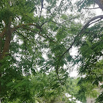 Photo n°17 de l'avis de marina.a fait le 07/06/2022 à 20:13 sur le  Trattoria Del Cervo à Premilcuore