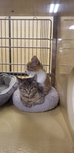 Pet Supply Store «PetSmart», reviews and photos, 350 Fifth St, Oswego, IL 60543, USA