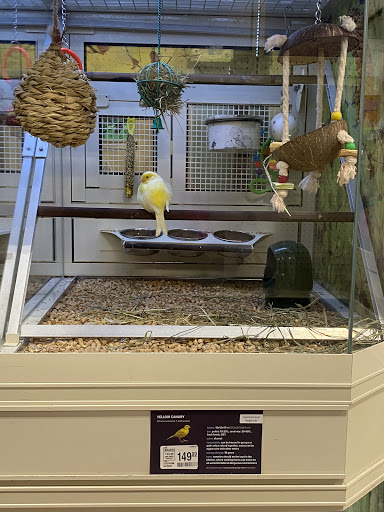 Pet Supply Store «PetSmart», reviews and photos, 3585 N Shiloh Dr, Fayetteville, AR 72703, USA