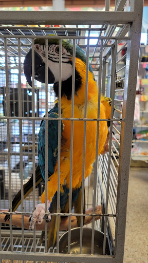 Pet Store «El Palomar Pet Shop Inc», reviews and photos, 4712 W Flagler St, Coral Gables, FL 33134, USA
