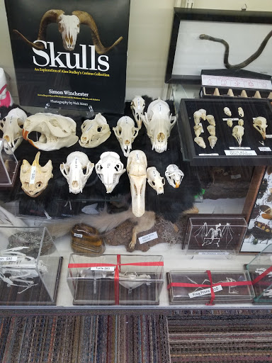 Toy Store «Brookside Toy and Science», reviews and photos, 330 W 63rd St, Kansas City, MO 64113, USA