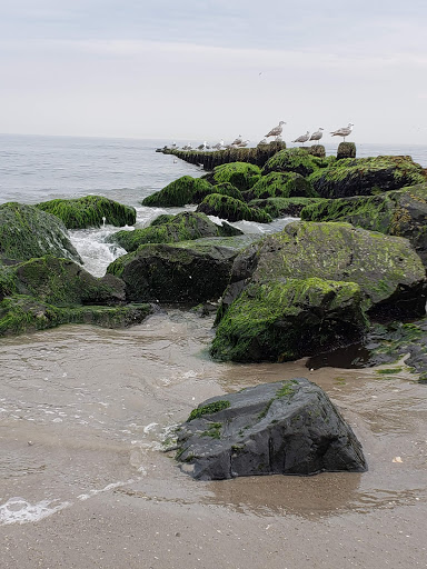 National Park «Jacob Riis Park (Gateway National Recreation Area)», reviews and photos, Rockaway Beach Blvd, Rockaway Park, NY 11694, USA