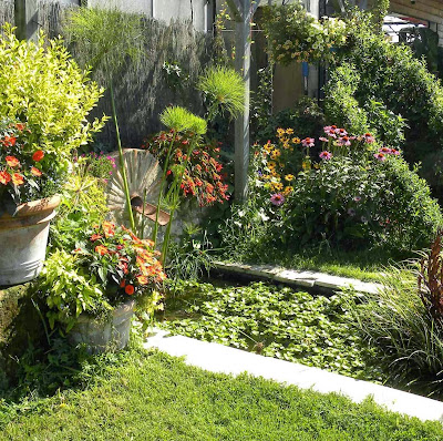 Proflora à Bergerac
