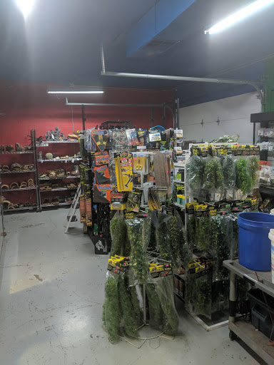 Pet Store «CUSTOM CREATURES PET SHOP», reviews and photos, 10727 N 19th Ave, Phoenix, AZ 85029, USA