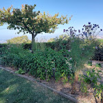 Photo n°1 de l'avis de Michela.a fait le 10/10/2023 à 09:21 sur le  Locanda Demetra & Montalcino Cooking School à Montalcino