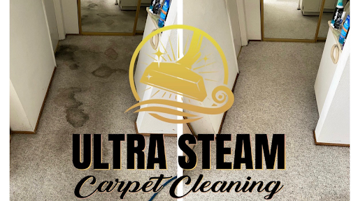 Curtain and upholstery cleaning service Concord