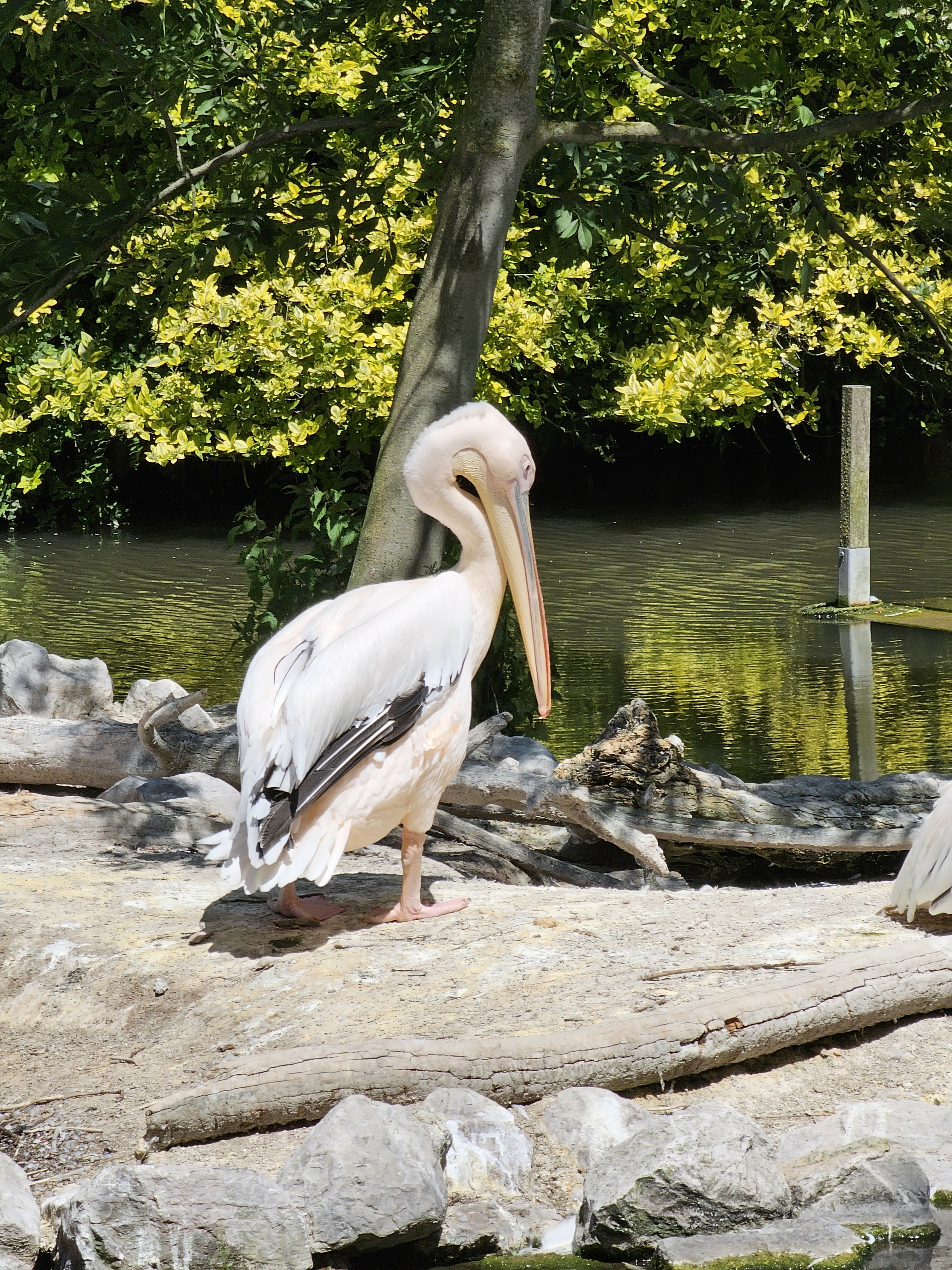 Photo n° 6 de l'avis de Envy.e fait le 03/06/2023 à 13:47