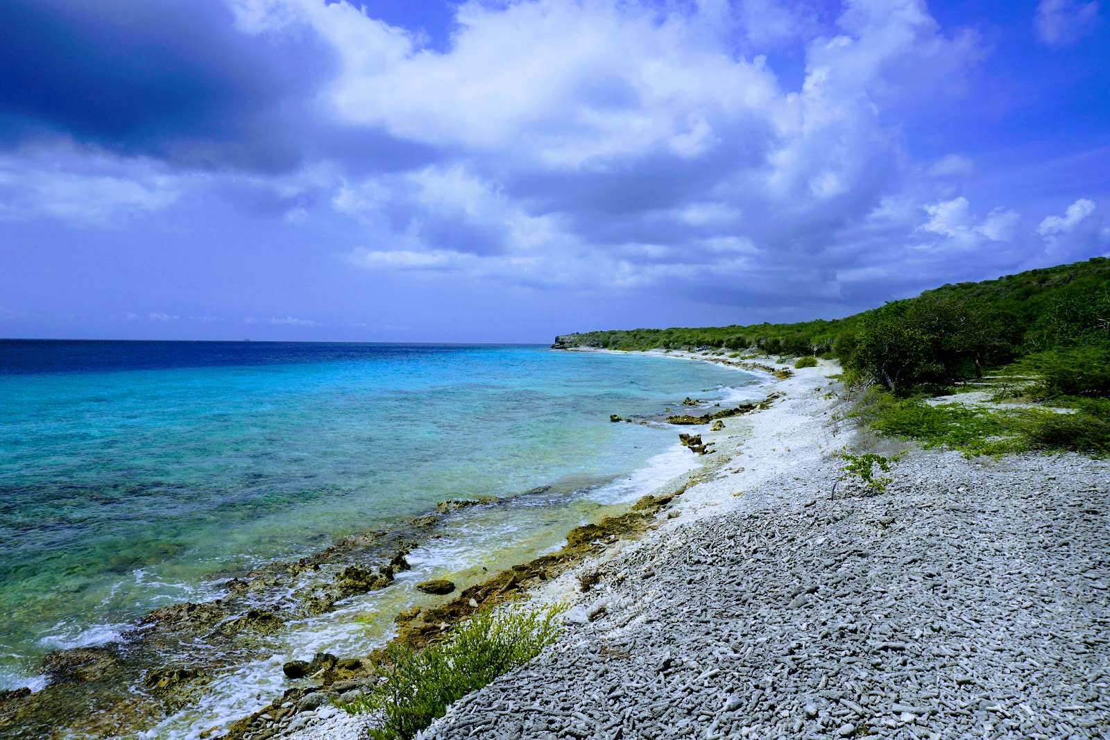 Valokuva Playa Larguista. sisältäen tilava ranta