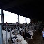 Photo n°10 de l'avis de maria.o fait le 31/05/2021 à 20:46 sur le  Agrisapori à Pralormo