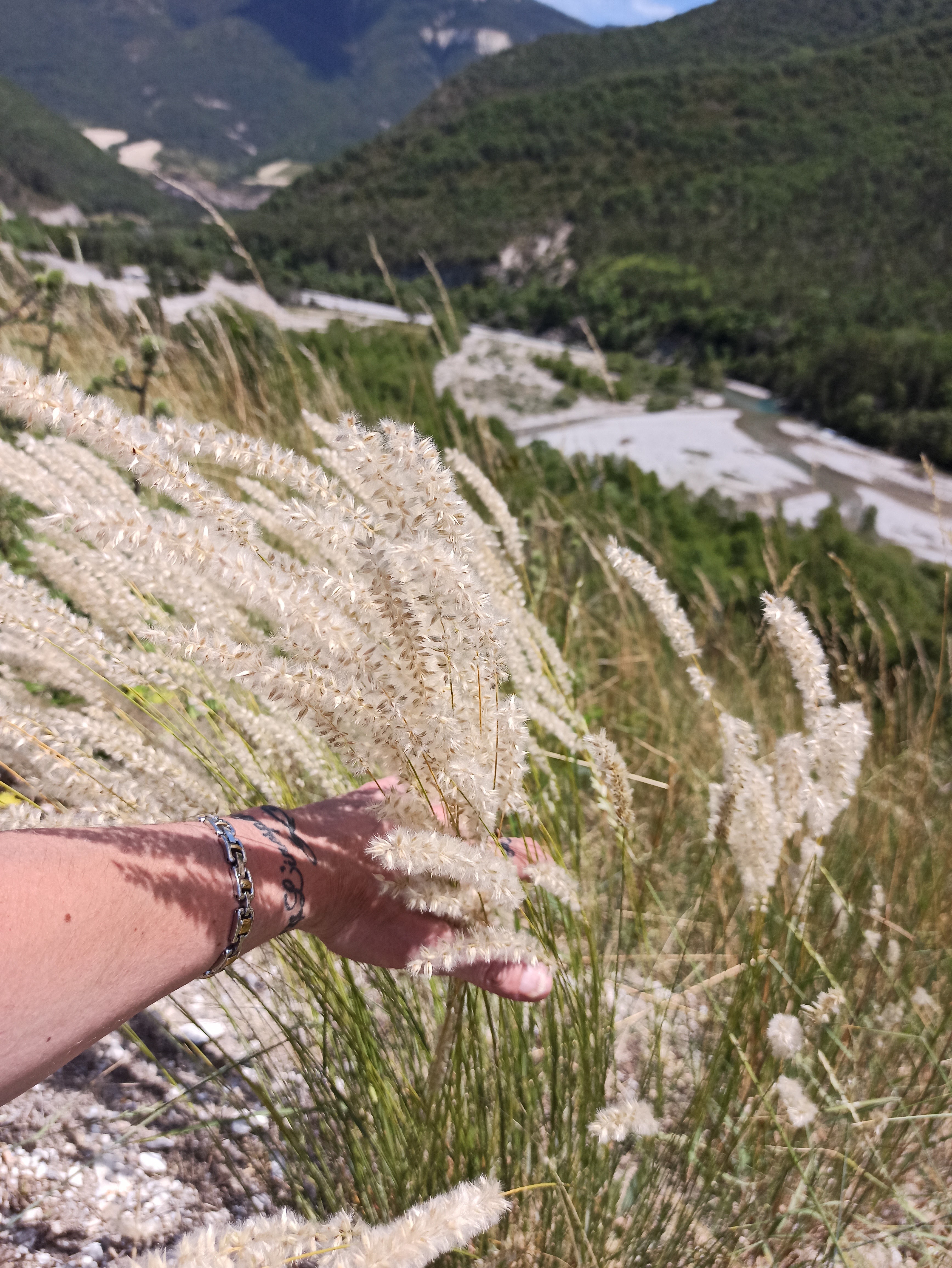 Photo n° 3 de l'avis de Alexandra.a fait le 27/07/2020 à 19:13