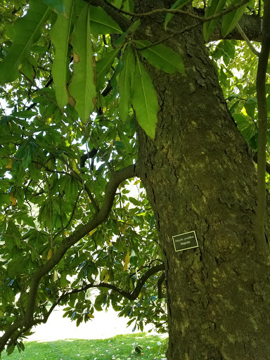 Local History Museum «Historic Travellers Rest Plantation & Museum», reviews and photos, 636 Farrell Pkwy, Nashville, TN 37220, USA