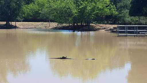 Ranch «Sharkarosa Wildlife Ranch», reviews and photos, 11670 Massey Rd, Pilot Point, TX 76258, USA