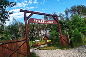 Park Linowy Kaszuby "Forest Park" image