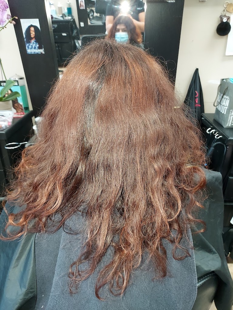 Hector Salon #2 91606