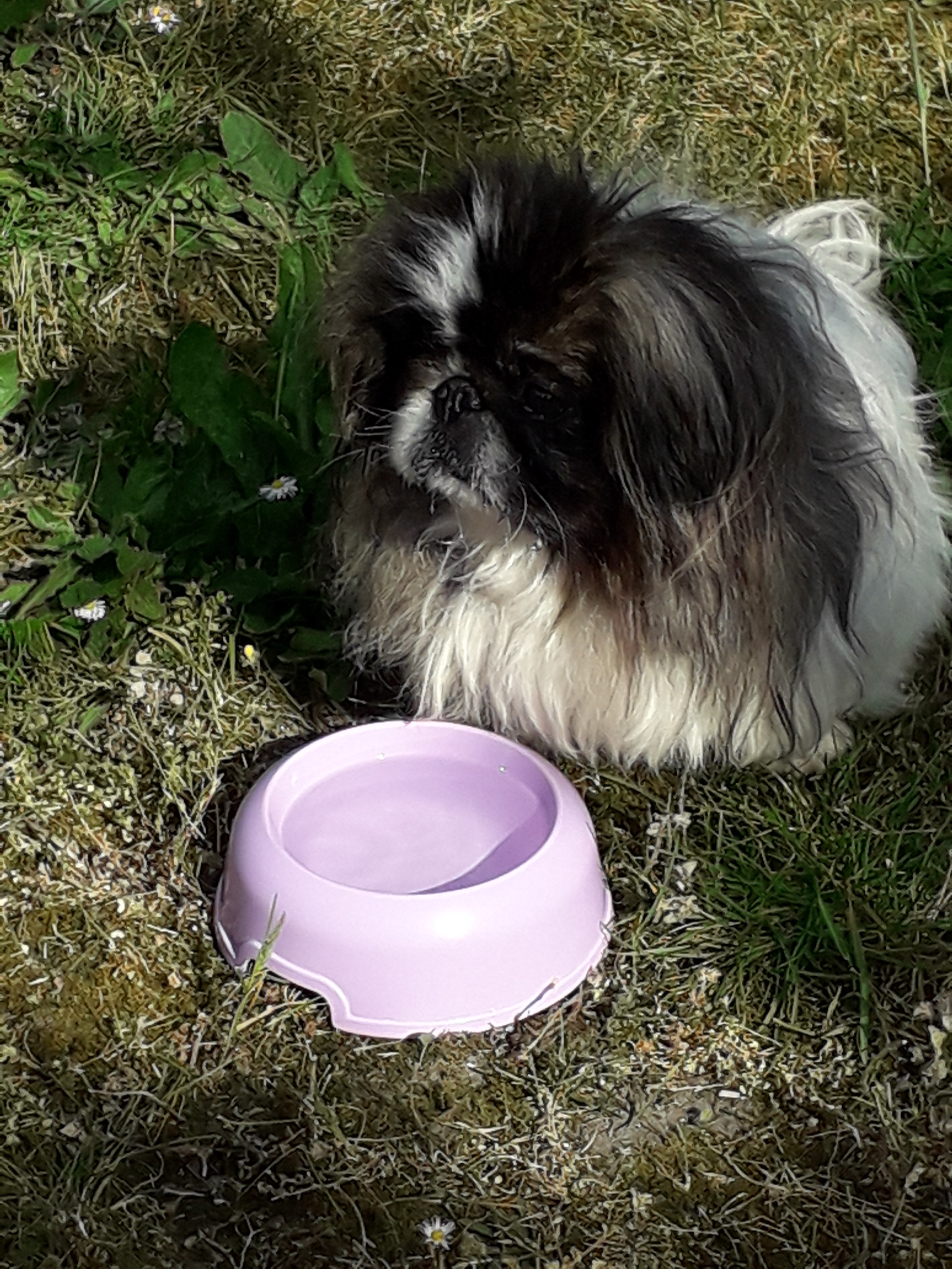 Photo n° 4 de l'avis de genji.a fait le 14/05/2022 à 20:51