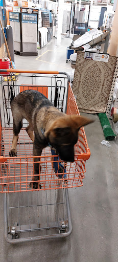 Home Improvement Store «The Home Depot», reviews and photos, 1055 N Colony Rd, Wallingford, CT 06492, USA