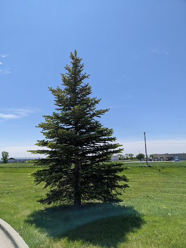 Department Store «Walmart Supercenter», reviews and photos, 415 34th St N, Dilworth, MN 56529, USA