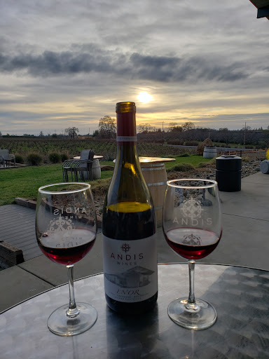 Winery «Andis Wines», reviews and photos, 11000 Shenandoah Rd, Plymouth, CA 95669, USA