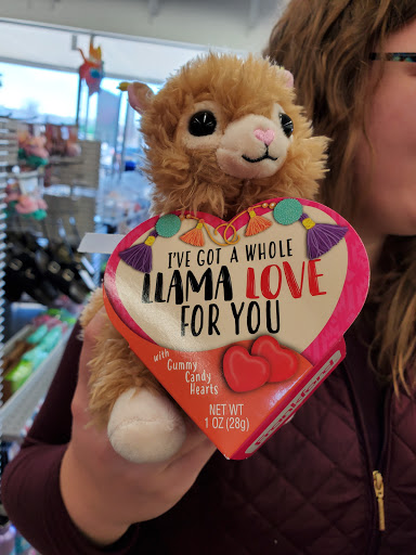 Variety Store «Five Below», reviews and photos, 1950 E Greyhound Pass #4, Carmel, IN 46033, USA