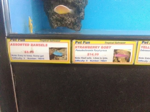 Pet Supply Store «Pet Fun At Harden Ranch Plz», reviews and photos, 1780 N Main St, Salinas, CA 93906, USA