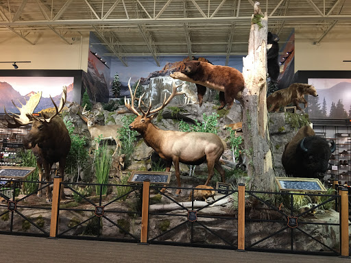 Shopping Mall «Oakland Mall», reviews and photos, 412 W 14 Mile Rd, Troy, MI 48083, USA