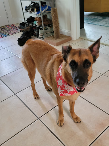 Pet Supply Store «Petco Animal Supplies», reviews and photos, 2353 SE Federal Hwy, Stuart, FL 34994, USA