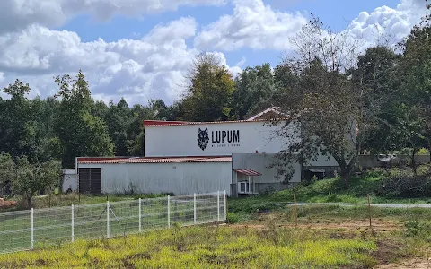 Lupum image