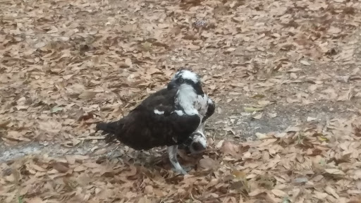 Self-Storage Facility «Storage Rentals of America», reviews and photos, 10 Self Storage Rd, Beaufort, SC 29906, USA