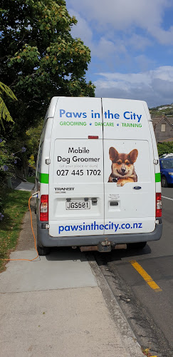 Paws in the City - Dog trainer